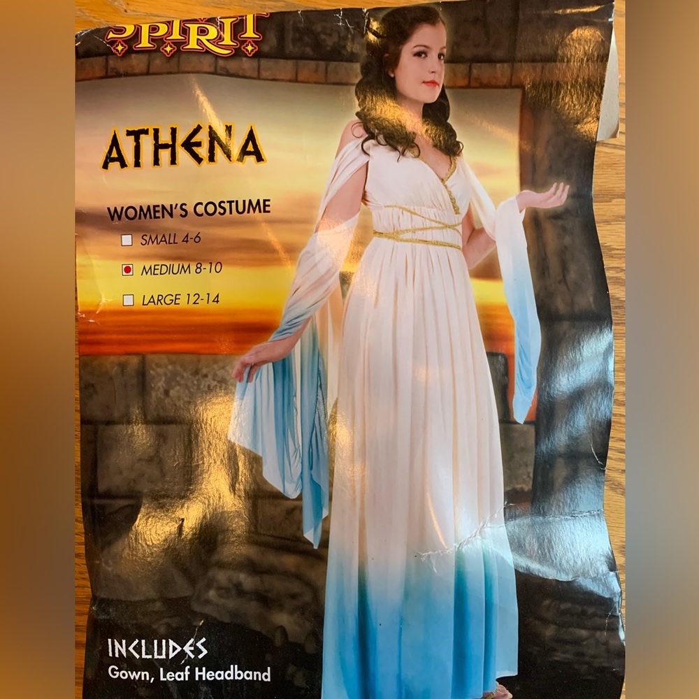 Athena Womens Costume By Spirit Halloween Includes Gold Wreath & Arm Band Sz M